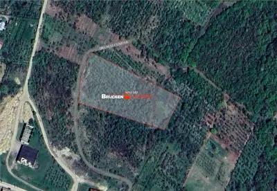 Teren intravilan de vanzare â€“ 9.091 mp | Front 77 ml | Acces din Gh. Doja - Saldabagiu de Munte