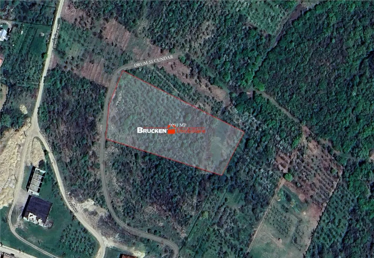 Teren intravilan de vanzare â€“ 9.091 mp | Front 77 ml | Acces din Gh. Doja - foto 1