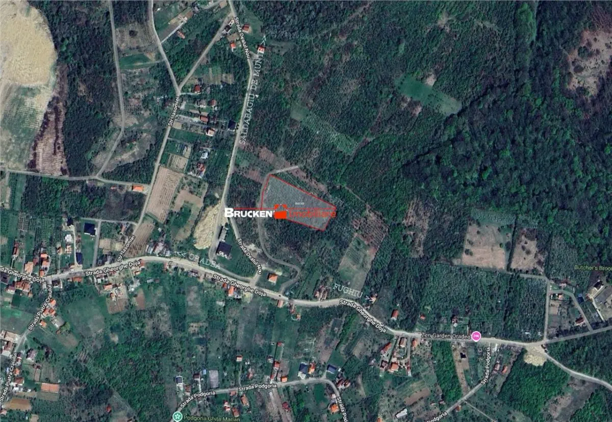 Teren intravilan de vanzare â€“ 9.091 mp | Front 77 ml | Acces din Gh. Doja - foto 2