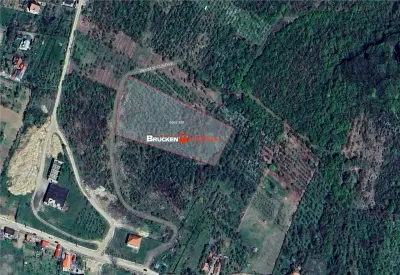 Teren intravilan de vanzare â€“ 9.091 mp | Front 77 ml | Acces din Gh. Doja - foto 4
