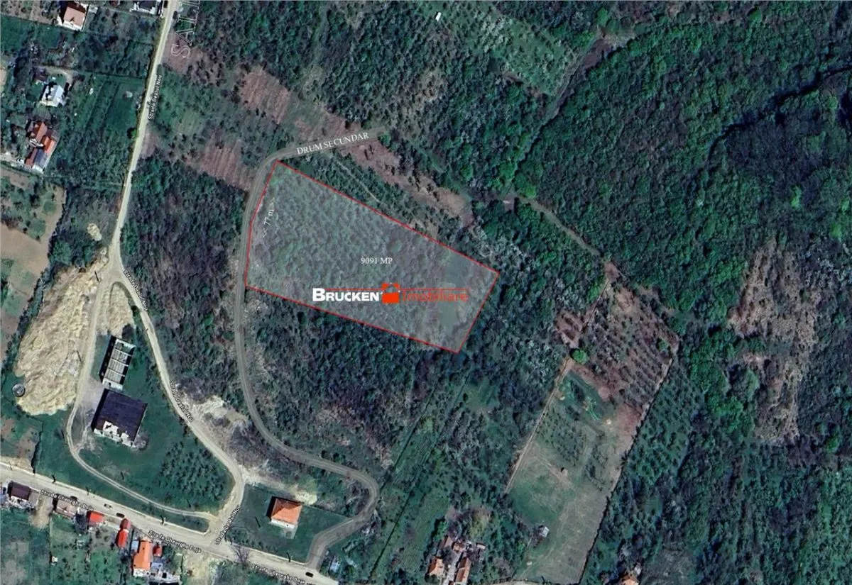 Teren intravilan de vanzare â€“ 9.091 mp | Front 77 ml | Acces din Gh. Doja - foto 4