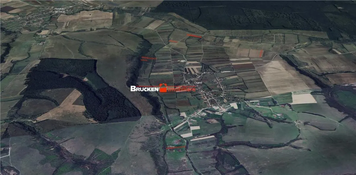 Teren arabil de vanzare – 2,34 ha (23.400 mp) – Husasau de Tinca-BH - foto 2