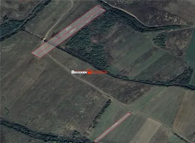 Teren arabil de vanzare – 2,34 ha (23.400 mp) – Husasau de Tinca-BH - foto 3
