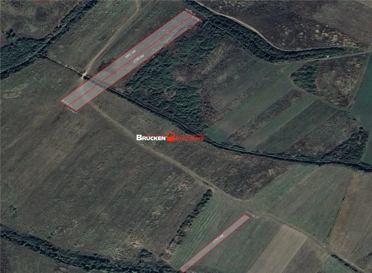 Teren arabil de vanzare – 2,34 ha (23.400 mp) – Husasau de Tinca-BH - foto 3