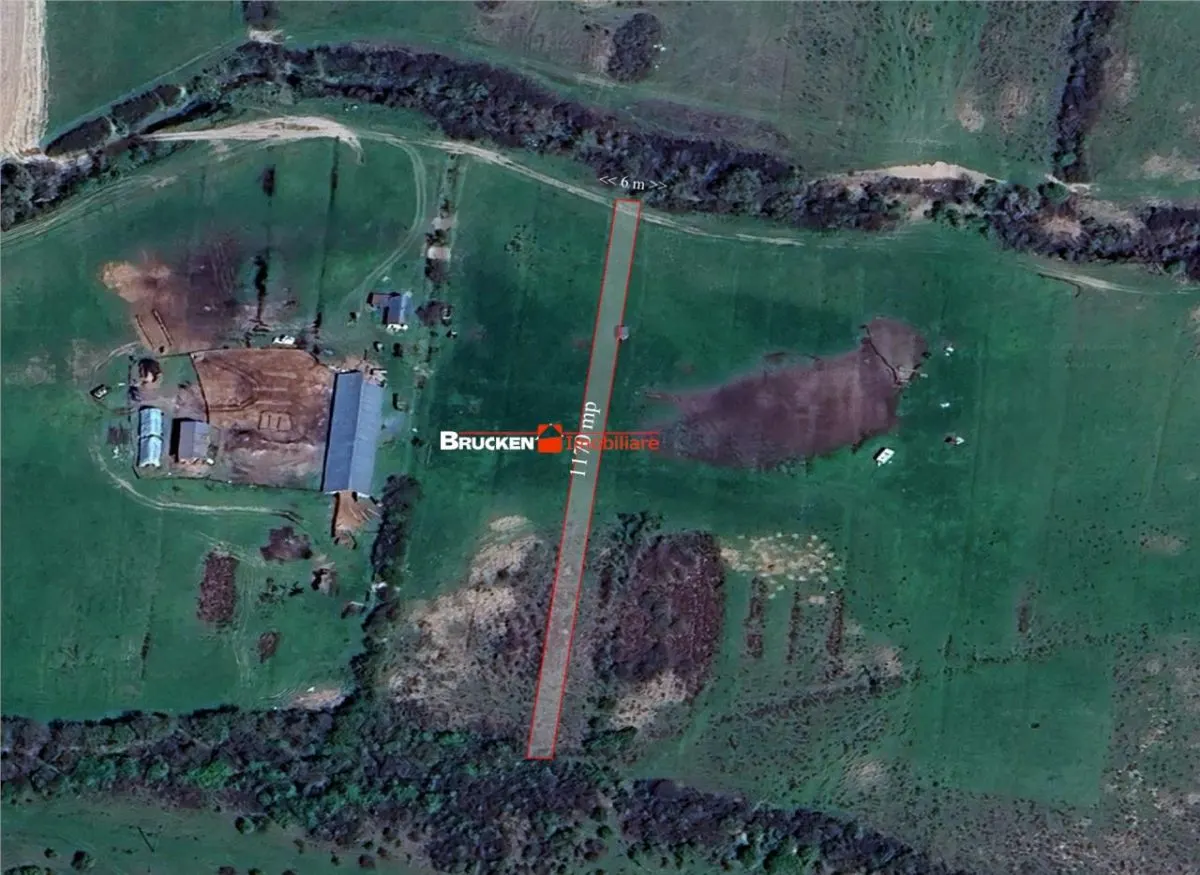 Teren arabil de vanzare – 2,34 ha (23.400 mp) – Husasau de Tinca-BH - foto 5