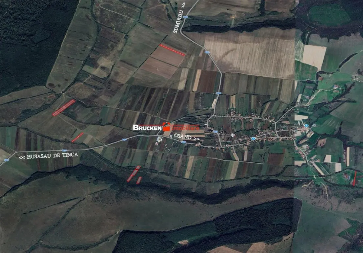 Teren arabil de vanzare – 2,34 ha (23.400 mp) – Husasau de Tinca-BH - foto 7