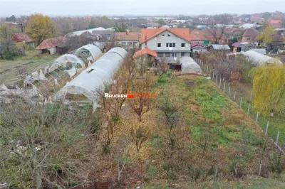 Casa de vanzare in Mihai Bravu - foto 11