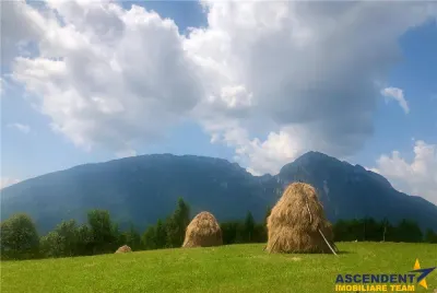 Poiana Marului - foto 4