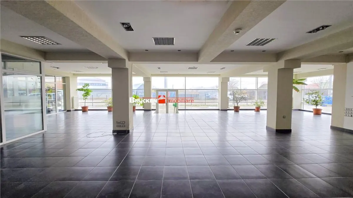Showroom cu hala si spatiu locativ â€“ Marghita, Bihor - foto 2