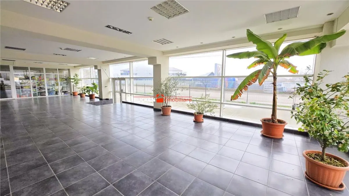 Showroom cu hala si spatiu locativ â€“ Marghita, Bihor - foto 3