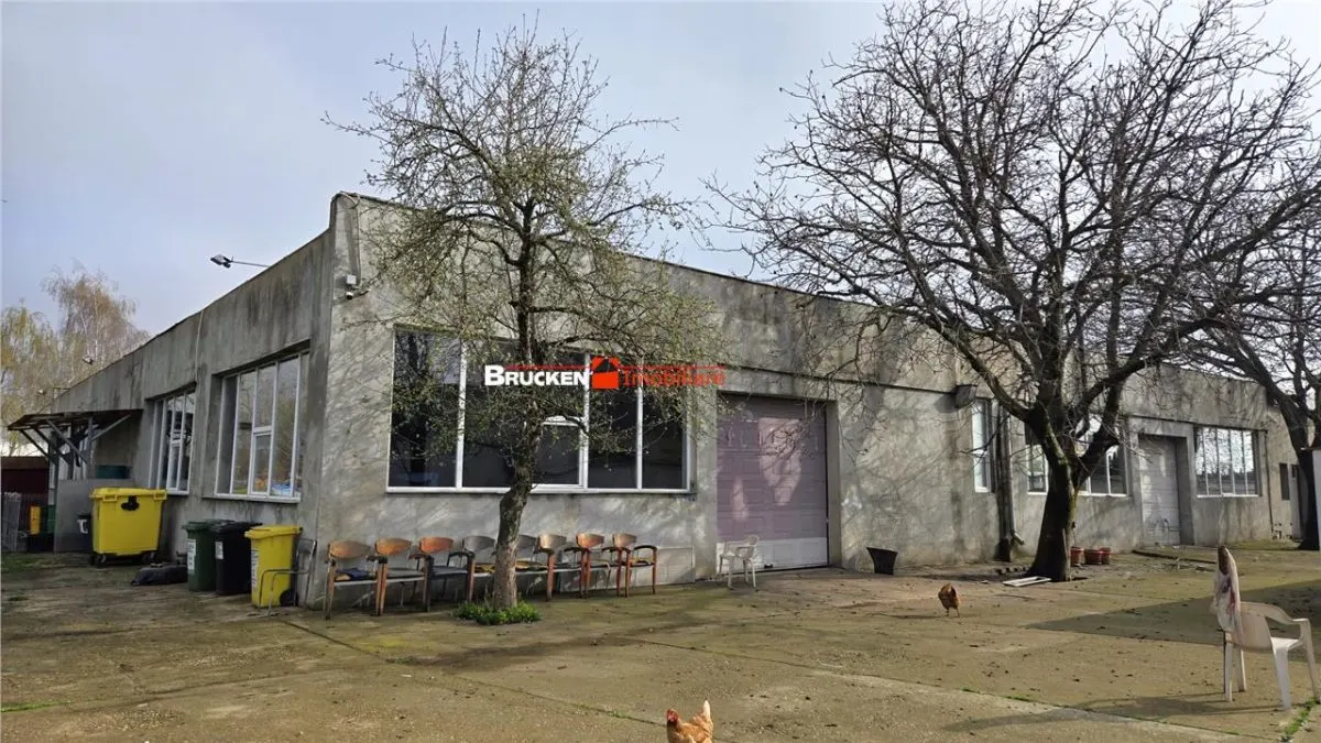 Showroom cu hala si spatiu locativ â€“ Marghita, Bihor - foto 6