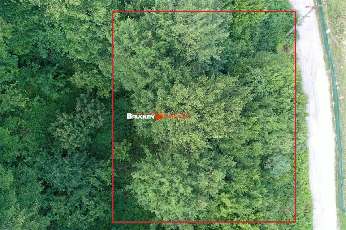 TEREN INTRAVILAN CONSTRUIBIL – 400 mp | Statiunea Boga, com. Pietroasa, jud. Bihor - foto 3