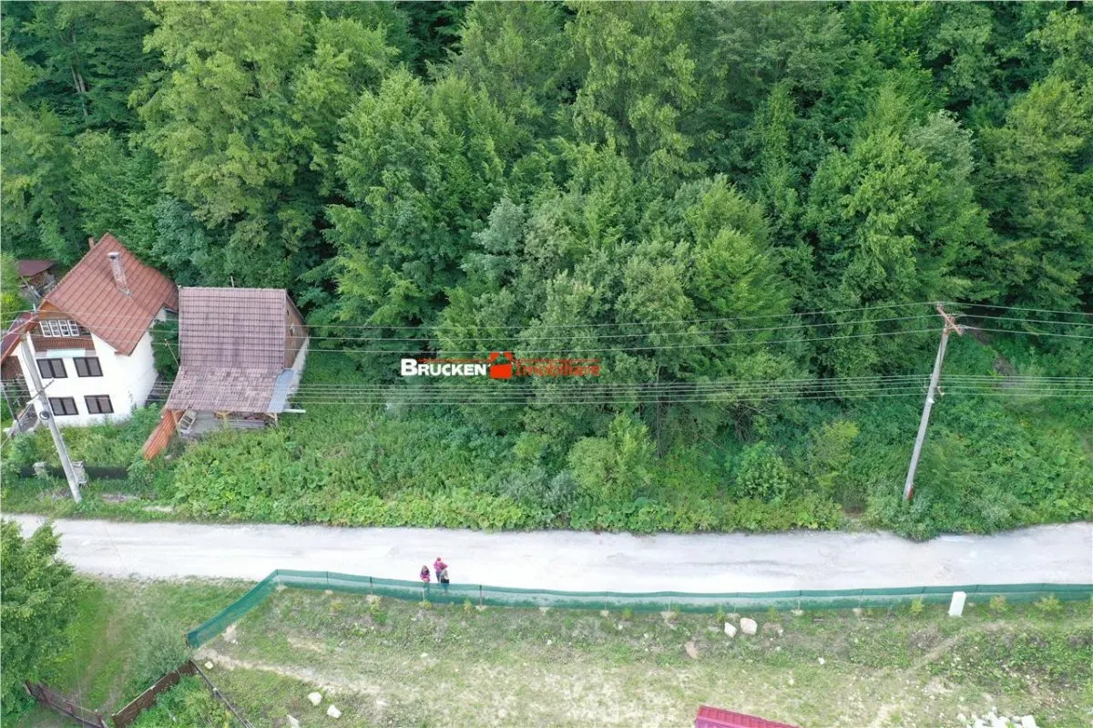 TEREN INTRAVILAN CONSTRUIBIL – 400 mp | Statiunea Boga, com. Pietroasa, jud. Bihor - foto 4