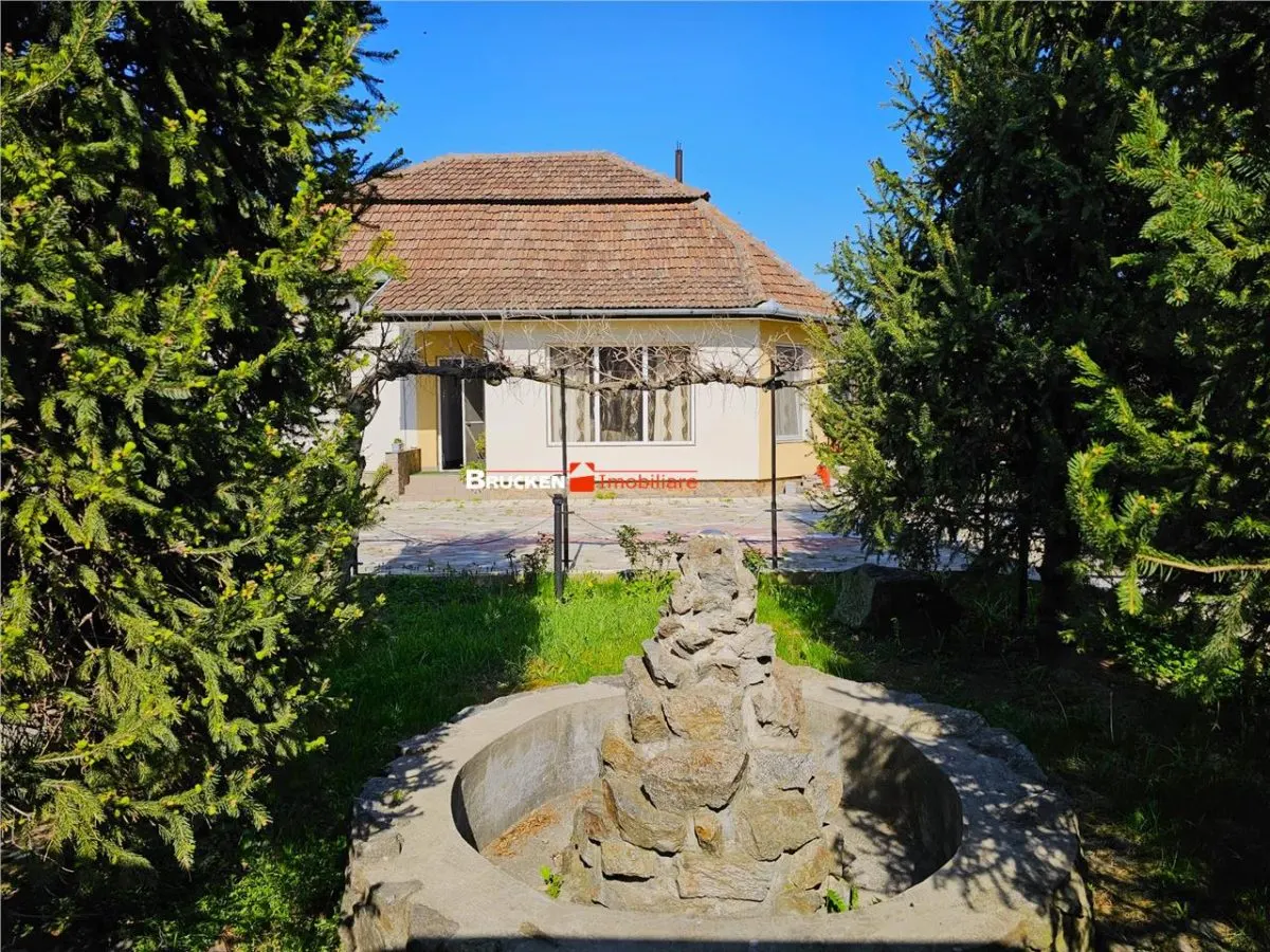 PROPRIETATE CU AFACERE FUNCTIONALA DE VANZARE - PETREU, LANGA MARGHITA - foto 1