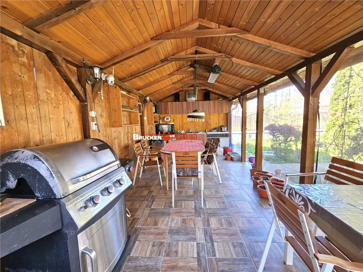 PROPRIETATE CU AFACERE FUNCTIONALA DE VANZARE - PETREU, LANGA MARGHITA - foto 6