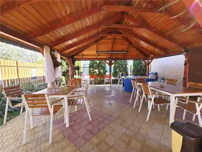 PROPRIETATE CU AFACERE FUNCTIONALA DE VANZARE - PETREU, LANGA MARGHITA - foto 8