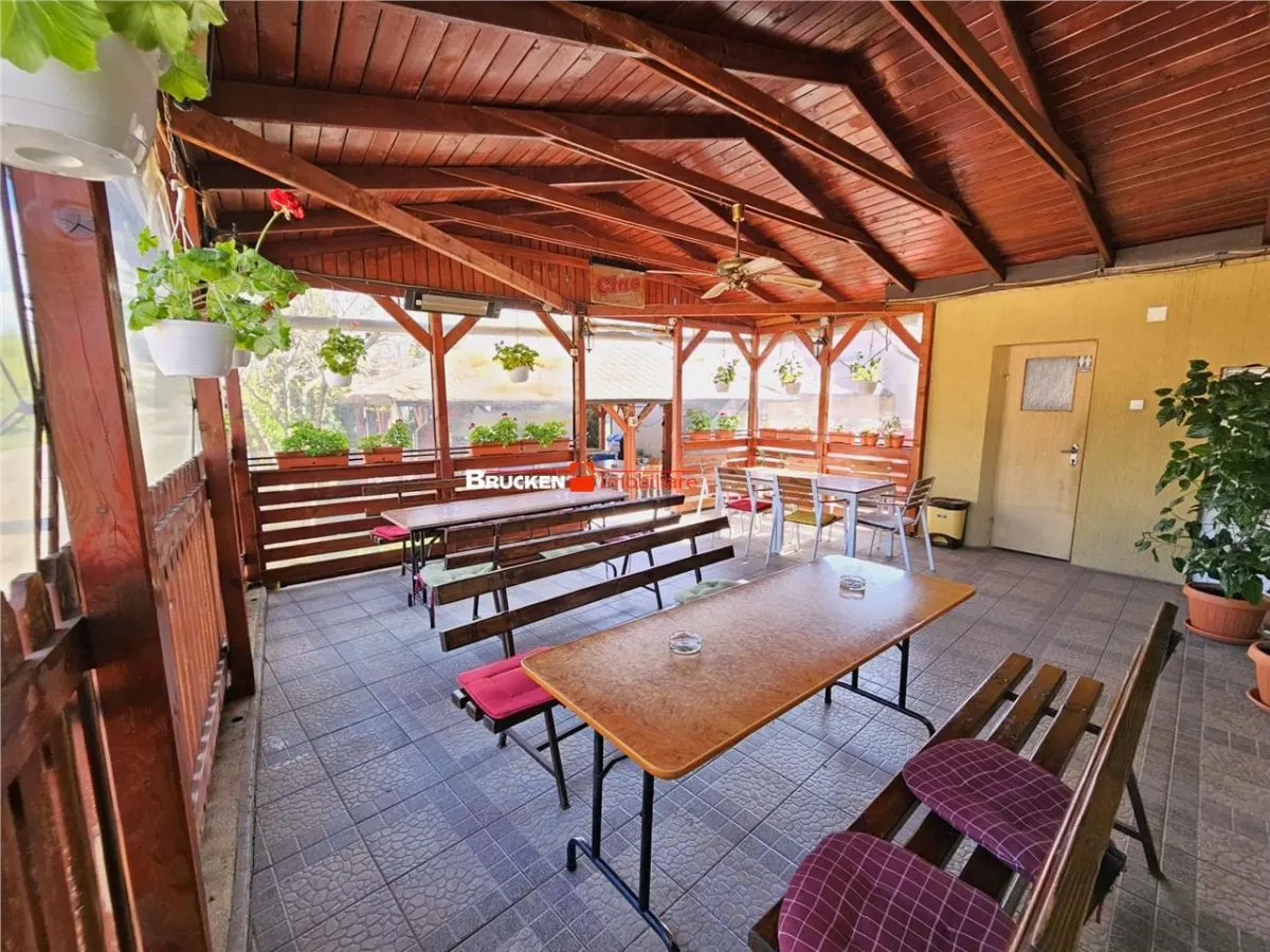 PROPRIETATE CU AFACERE FUNCTIONALA DE VANZARE - PETREU, LANGA MARGHITA - foto 9