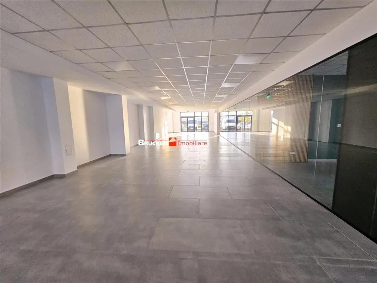 SPATIU COMERCIAL CENTRAL | 261 MP - foto 13