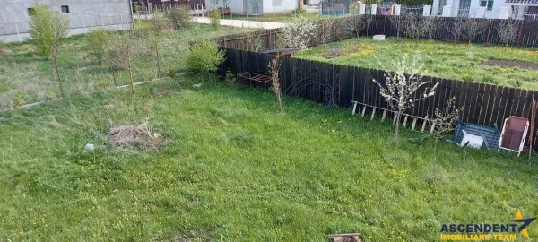 Casă 4 camere Bod - poza 2