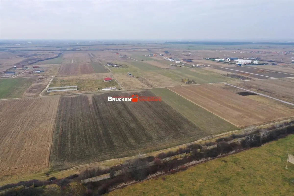 5 PARCELE PENTRU CASA | ZONA REZIDENTIALA I DEZVOLTARE | CIHEI - foto 4