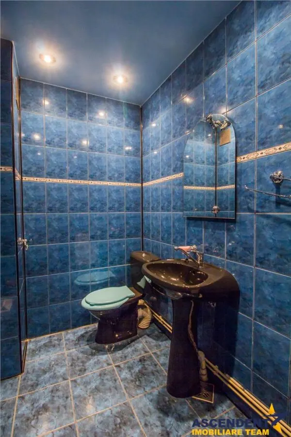 Proprietate conditii sapreciabile, purtator profit, Semicentral, Brasov - foto 6
