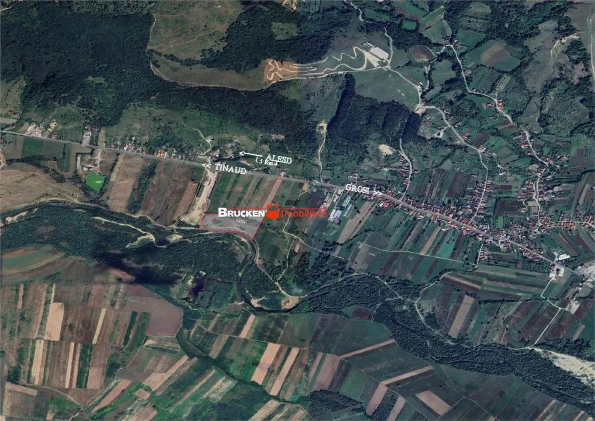 TEREN INTRAVILAN + EXTRAVILAN | AUSEU - foto 2