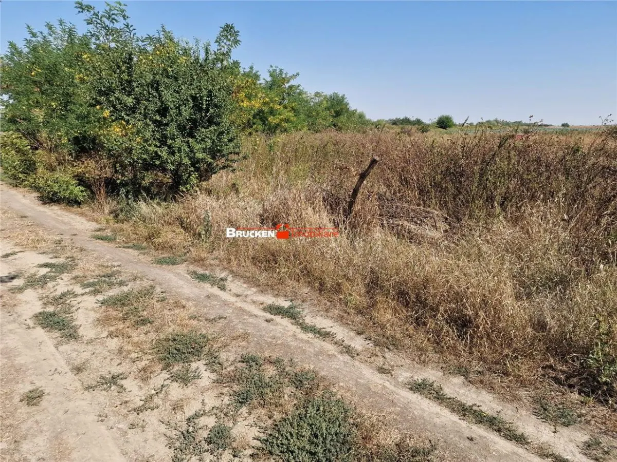 TEREN REZIDENTIAL | TOBOLIU | 1.773 MP - foto 4