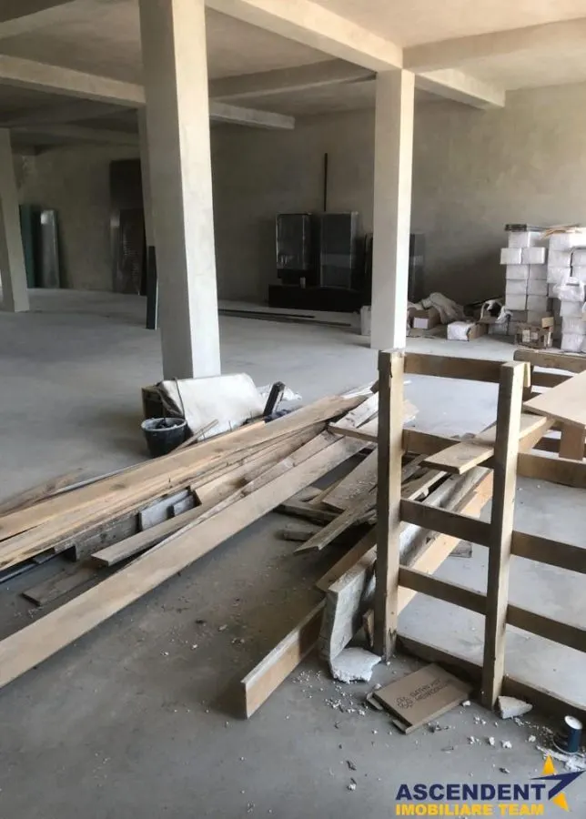 Spatiul este pretabil pentru activitati de logistica, depozitare, productie sau distributie. - foto 11
