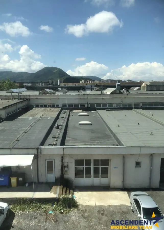 Spatiul este pretabil pentru activitati de logistica, depozitare, productie sau distributie. - foto 3
