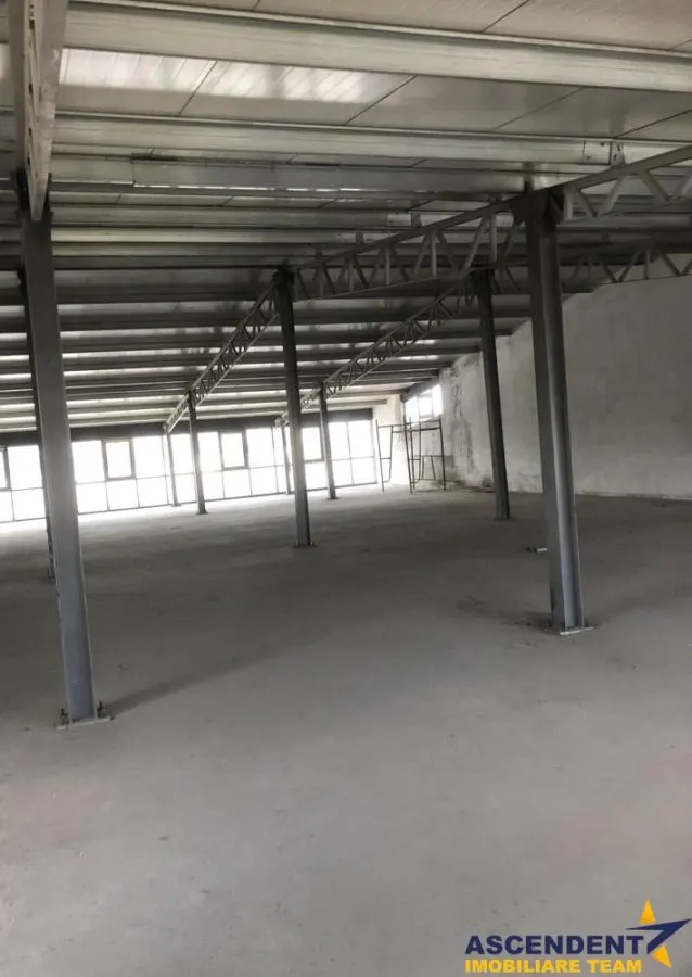 Spatiul este pretabil pentru activitati de logistica, depozitare, productie sau distributie. - foto 5