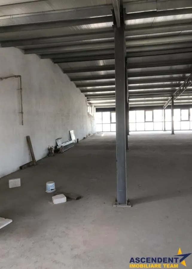 Spatiul este pretabil pentru activitati de logistica, depozitare, productie sau distributie. - foto 6