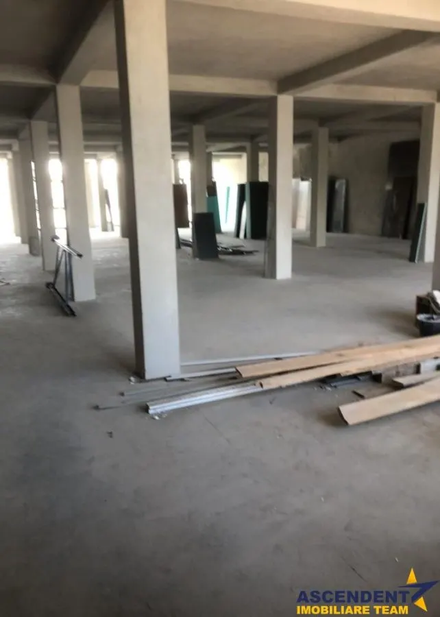 Spatiul este pretabil pentru activitati de logistica, depozitare, productie sau distributie. - foto 7