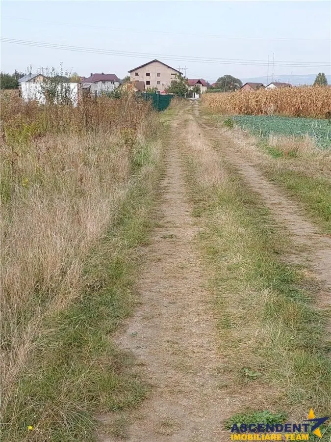 Peste 800 mp teren, Stupini, Brasov - foto 4