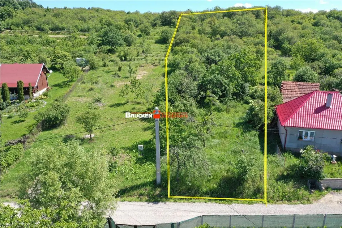 TEREN PENTRU CONSTRUCTIE REZIDENTIALA | 2878 MP | PODGORIA - foto 1