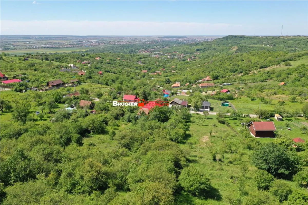 TEREN PENTRU CONSTRUCTIE REZIDENTIALA | 2878 MP | PODGORIA - foto 3