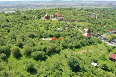 TEREN PENTRU CONSTRUCTIE REZIDENTIALA | 2878 MP | PODGORIA - foto 4