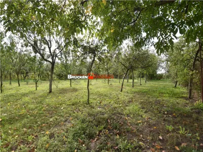 CASA IN ZONA GARII | MARGHITA - Marghita