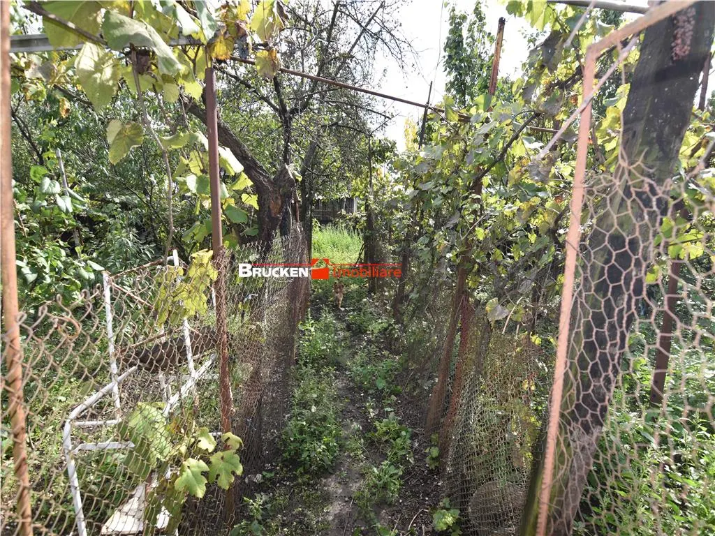 CASA IN ZONA GARII | MARGHITA - foto 11