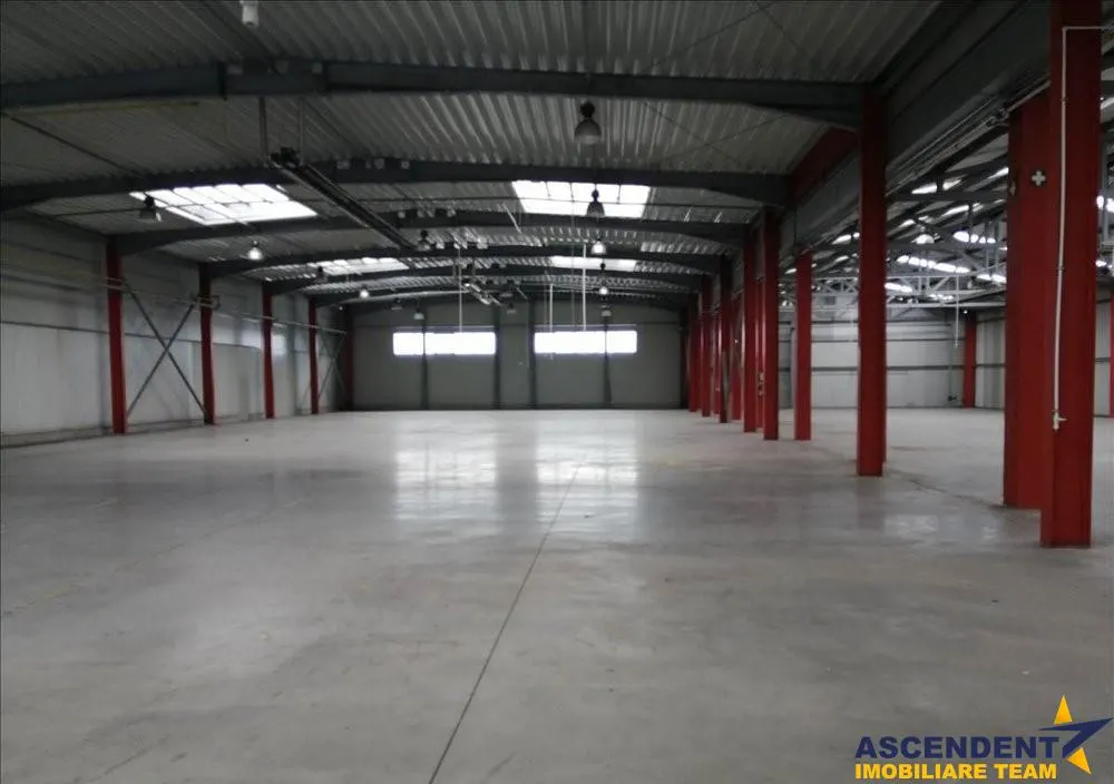 Hala pentru depozitare / productie / logistica si similare - foto 1
