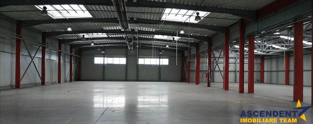 Hala pentru depozitare / productie / logistica si similare - foto 3