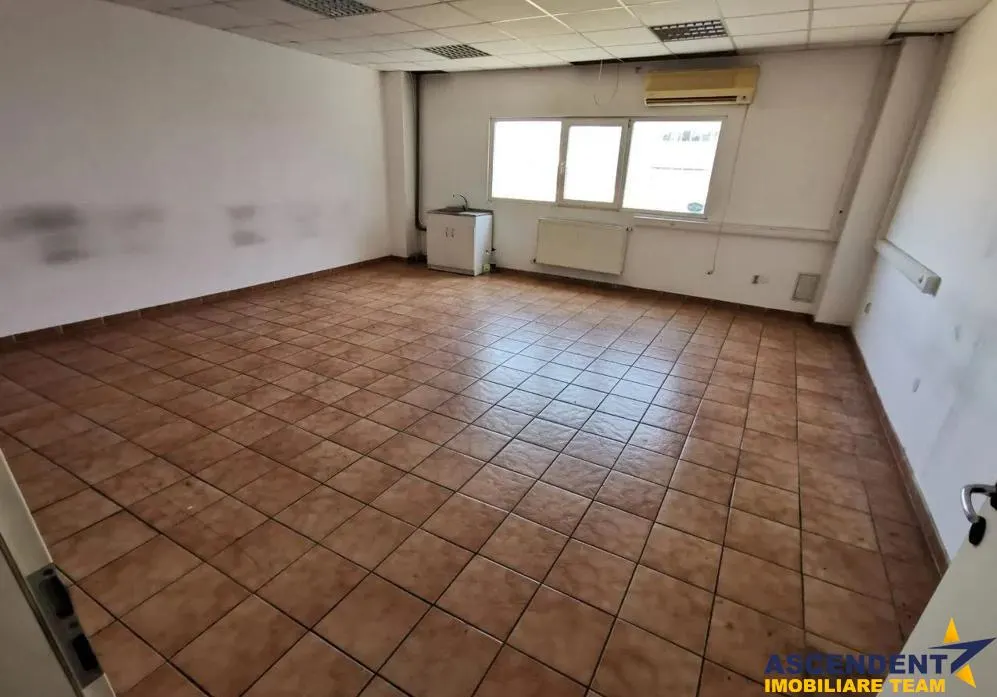 Hala pentru depozitare / productie / logistica si similare - foto 6