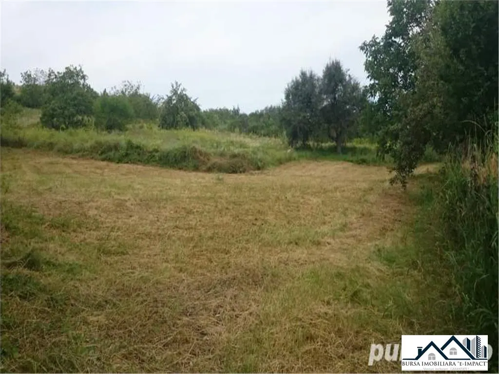 Vz. CASA 4 camere+dep.+ teren 6200mp. LATASTI ,MURGENI, VS. ID-416 - foto 7