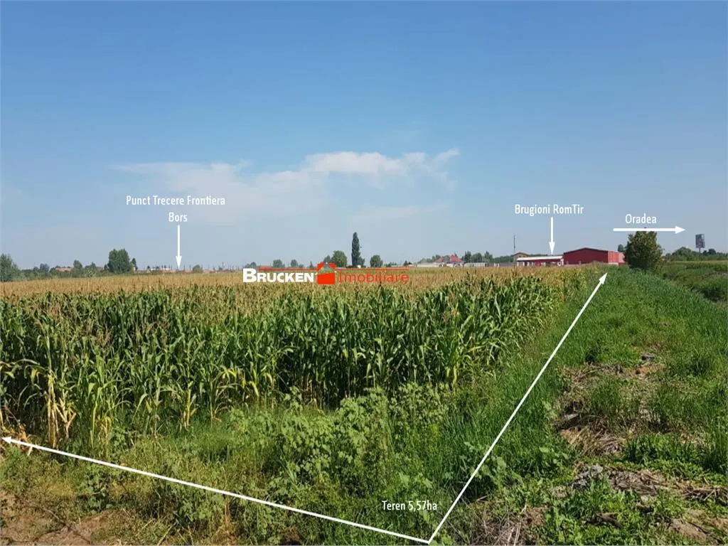 TEREN INDUSTRIAL CU PUZ | 5,2 HA | BORS - ORADEA - foto 3