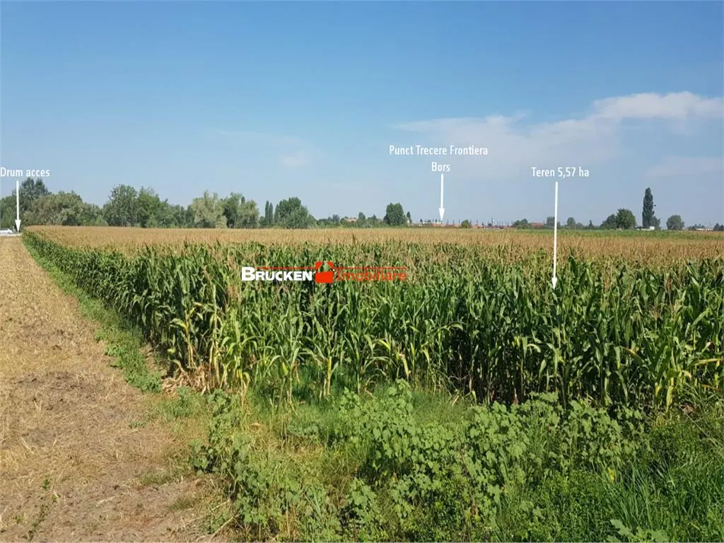 TEREN INDUSTRIAL CU PUZ | 5,2 HA | BORS - ORADEA - foto 7