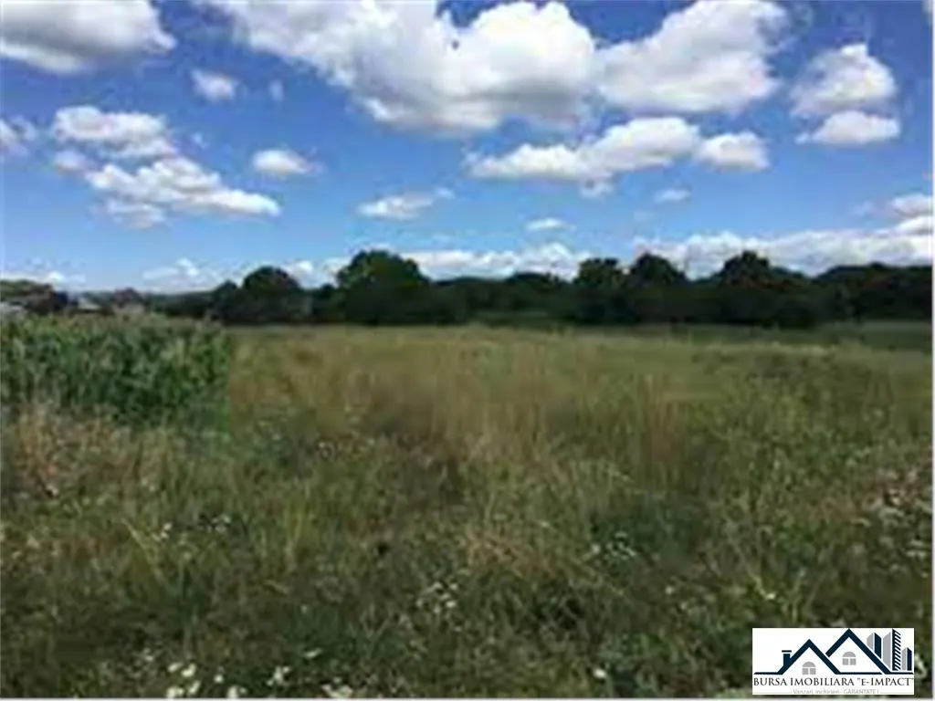 De Vz. TEREN INTRAVILAN, iNVESTITIE - 4080 MP, In zona sud-vest BADEANA ID- 387 - foto 1