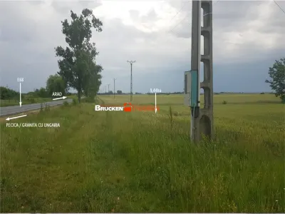 TEREN CU POTENTIAL INDUSTRIAL/ SERVICII | 9,44 HA | ARAD, PECICA - foto 7