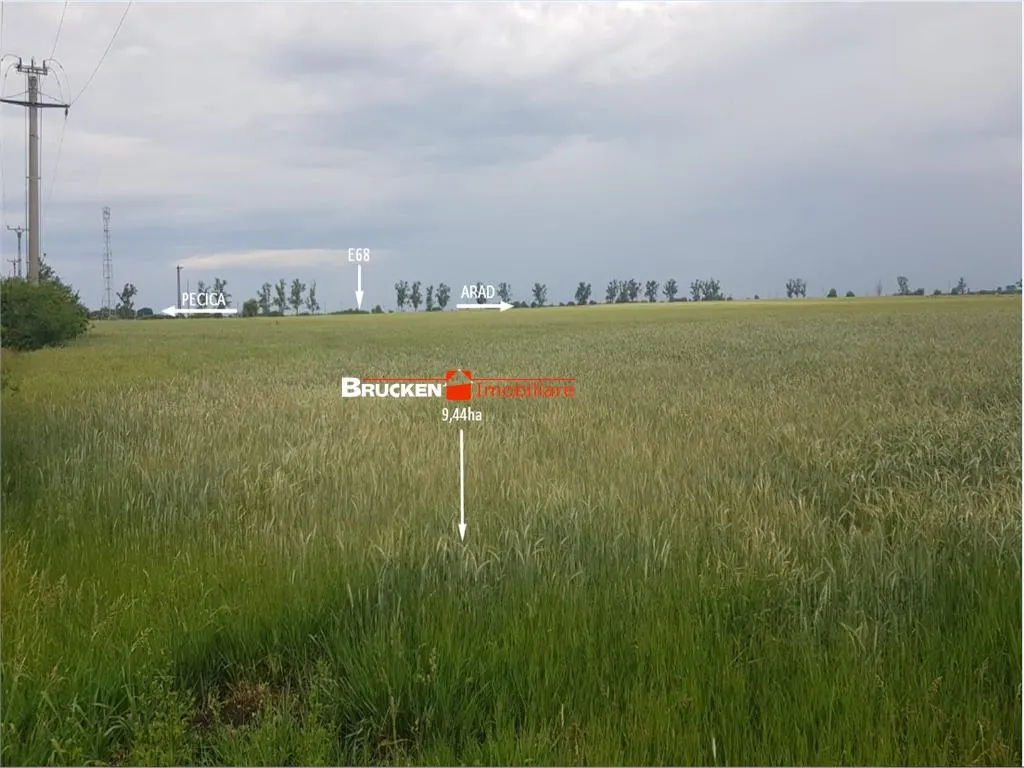 TEREN CU POTENTIAL INDUSTRIAL/ SERVICII | 9,44 HA | ARAD, PECICA - foto 8