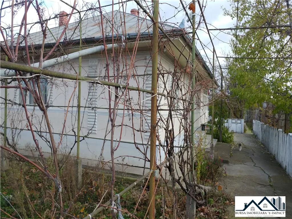 De VINZ. Casa 10 camere+depedinte, Zorleni - Islaz , Id_Bursa 357 - foto 3