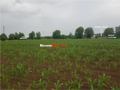 TEREN CU POTENTIAL INDUSTRIAL | 4,35 HA | ARAD, ZADARENI - foto 6
