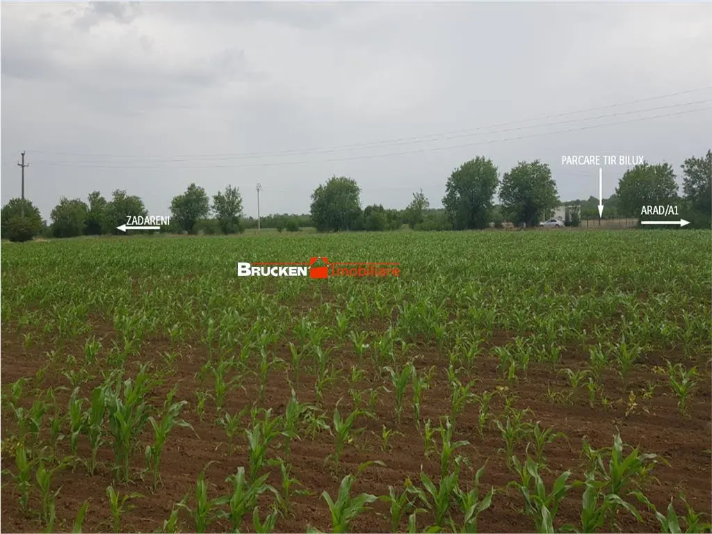 TEREN CU POTENTIAL INDUSTRIAL | 4,35 HA | ARAD, ZADARENI - foto 6